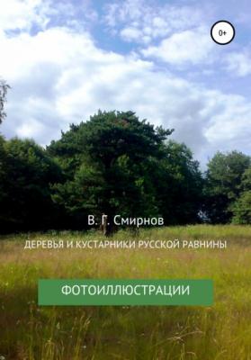 Деревья и кустарники Русской равнины - Виктор Геннадьевич Смирнов