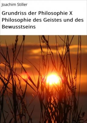Grundriss der Philosophie X Philosophie des Geistes und des Bewusstseins - Joachim Stiller
