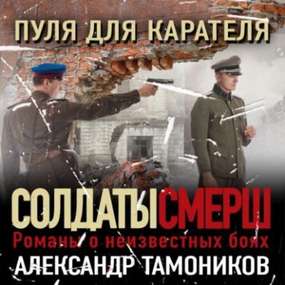 Пуля для карателя - Александр Тамоников