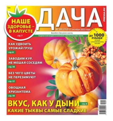 Дача Pressa.ru 20-2022 - Редакция газеты Дача Pressa.ru