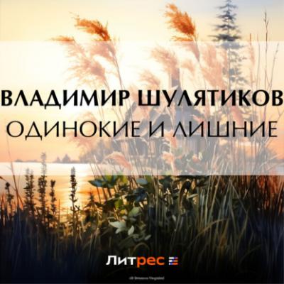 Одинокие и лишние - Владимир Михайлович Шулятиков