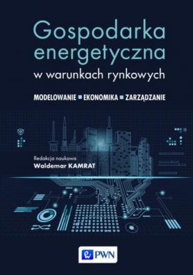 Gospodarka energetyczna w warunkach rynkowych - Группа авторов