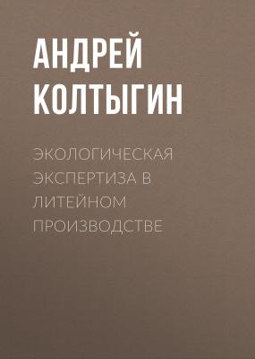 Экологическая экспертиза в литейном производстве - Андрей Колтыгин