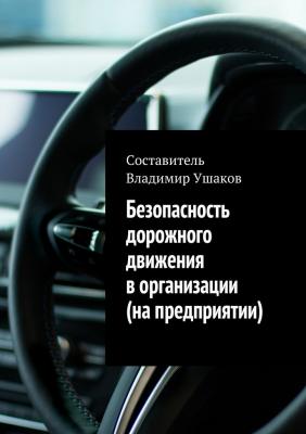 Безопасность дорожного движения в организации (на предприятии) - Владимир Игоревич Ушаков