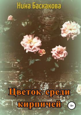 Цветок среди кирпичей - Нина Баскакова