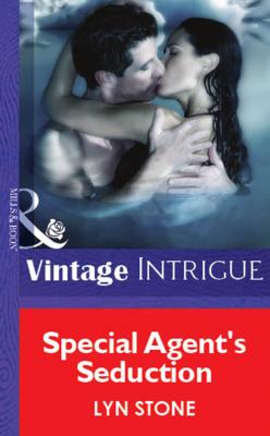 Special Agent's Seduction - Lyn  Stone