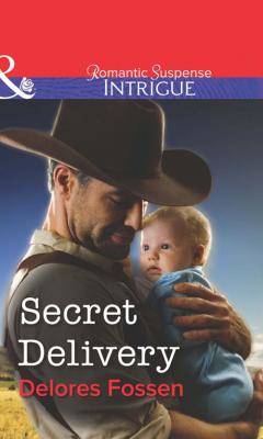 Secret Delivery - Delores  Fossen