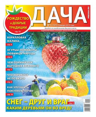 Дача Pressa.ru 01-2019 - Редакция газеты Дача Pressa.ru