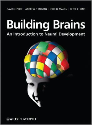 Building Brains. An Introduction to Neural Development - David Price J.
