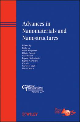 Advances in Nanomaterials and Nanostructures - Kathy  Lu
