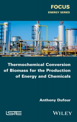 Thermochemical Conversion of Biomass for the Production of Energy and Chemicals - Anthony  Dufour