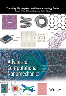 Advanced Computational Nanomechanics - Nuno  Silvestre