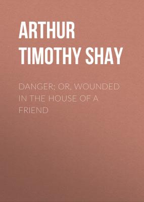 Danger; Or, Wounded in the House of a Friend - Arthur Timothy Shay