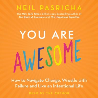 You Are Awesome - Neil  Pasricha