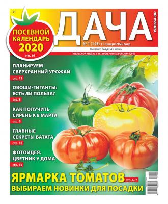 Дача Pressa.ru 01-2020 - Редакция газеты Дача Pressa.ru