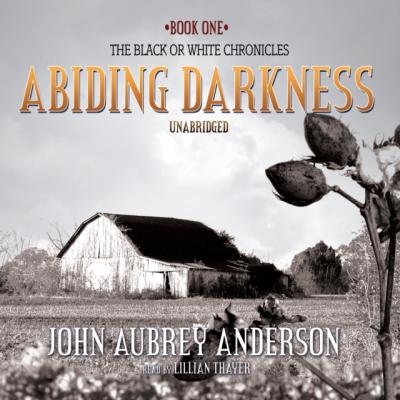 Abiding Darkness - John Aubrey Anderson