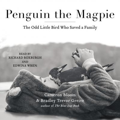Penguin the Magpie - Cameron Bloom