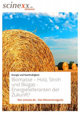 Biomasse - Dieter  Lohmann