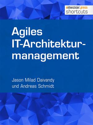 Agiles IT-Architekturmanagement - Andreas  Schmidt