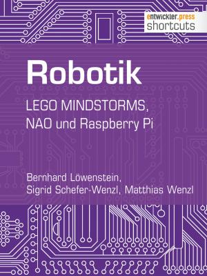 Robotik - Bernhard  Lowenstein