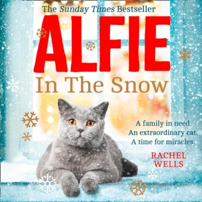 Alfie in the Snow - Rachel  Wells