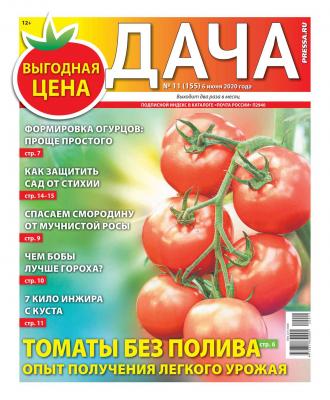 Дача Pressa.ru 11-2020 - Редакция газеты Дача Pressa.ru