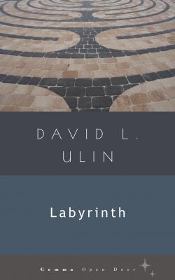 Labyrinth - David L. Ulin