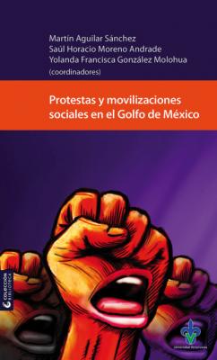 Protestas y movilizaciones sociales en el Golfo de México - Группа авторов