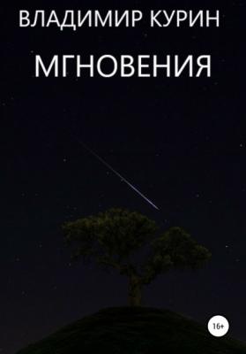 Мгновения - Владимир Сергеевич Курин