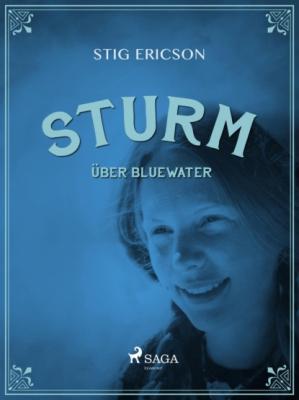 Sturm über Bluewater - Stig Ericson