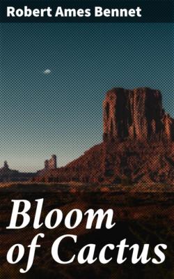 Bloom of Cactus - Robert Ames Bennet
