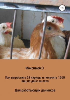 Как вырастить 52 курицы и получить 1560 яиц на даче за лето. Для работающих дачников - Олег Николаевич Максимов