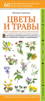 Цветы и травы. Мир удивительных растений - Михаил Куценко