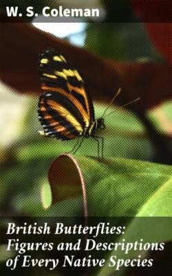 British Butterflies: Figures and Descriptions of Every Native Species - W. S. Coleman