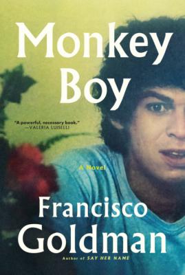 Monkey Boy - Francisco  Goldman
