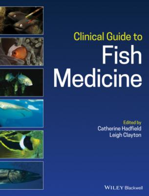 Clinical Guide to Fish Medicine - Группа авторов