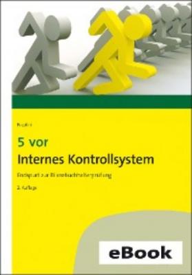 5 vor Internes Kontrollsystem - Hans J. Nicolini