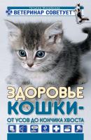 Здоровье кошки от усов до кончика хвоста - Татьяна Михайлова