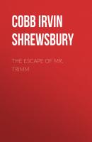 The Escape of Mr. Trimm - Cobb Irvin Shrewsbury
