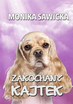 Читать Zakochany Kajtek - Monika Sawicka