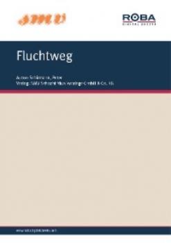 Читать Fluchtweg - Peter Schirmann