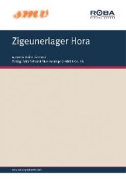 Читать Zigeunerlager Hora - Gerhard Heinz