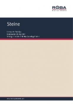 Читать Steine - Wolfgang Tilgner