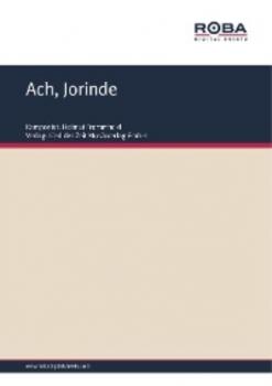 Читать Ach, Jorinde - Pippig Jürgen