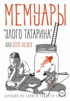 Читать Мемуары «злого татарина», или ЗППП из 90-х - Рустем Мирсаитов