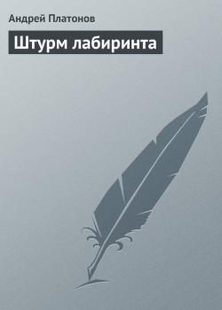 Читать Штурм лабиринта - Андрей Платонов