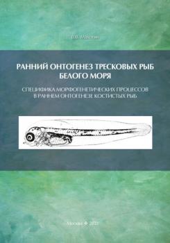 Читать Ранний онтогенез тресковых рыб Белого моря. Специфика морфогенетических процессов в раннем онтогенезе костистых рыб (на примере развития тресковых) - В. В. Махотин
