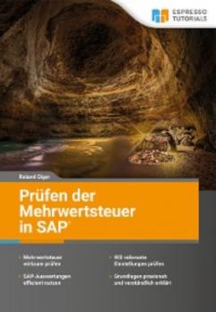 Читать Prüfen der Mehrwertsteuer in SAP - Roland Giger
