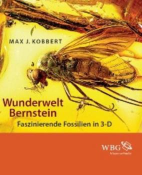 Читать Wunderwelt Bernstein - Max J. Kobbert