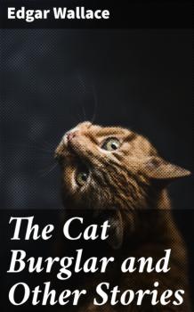 Читать The Cat Burglar and Other Stories - Edgar Wallace